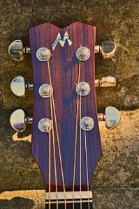 Oak Guitar Headstock